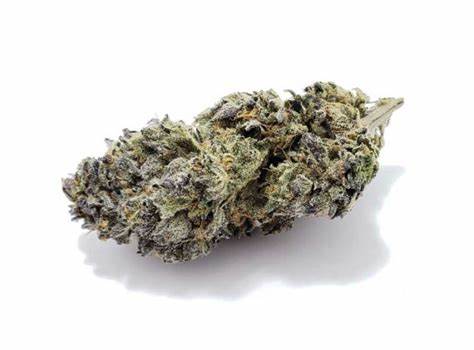 Bacio Gelato Pre-Rolls