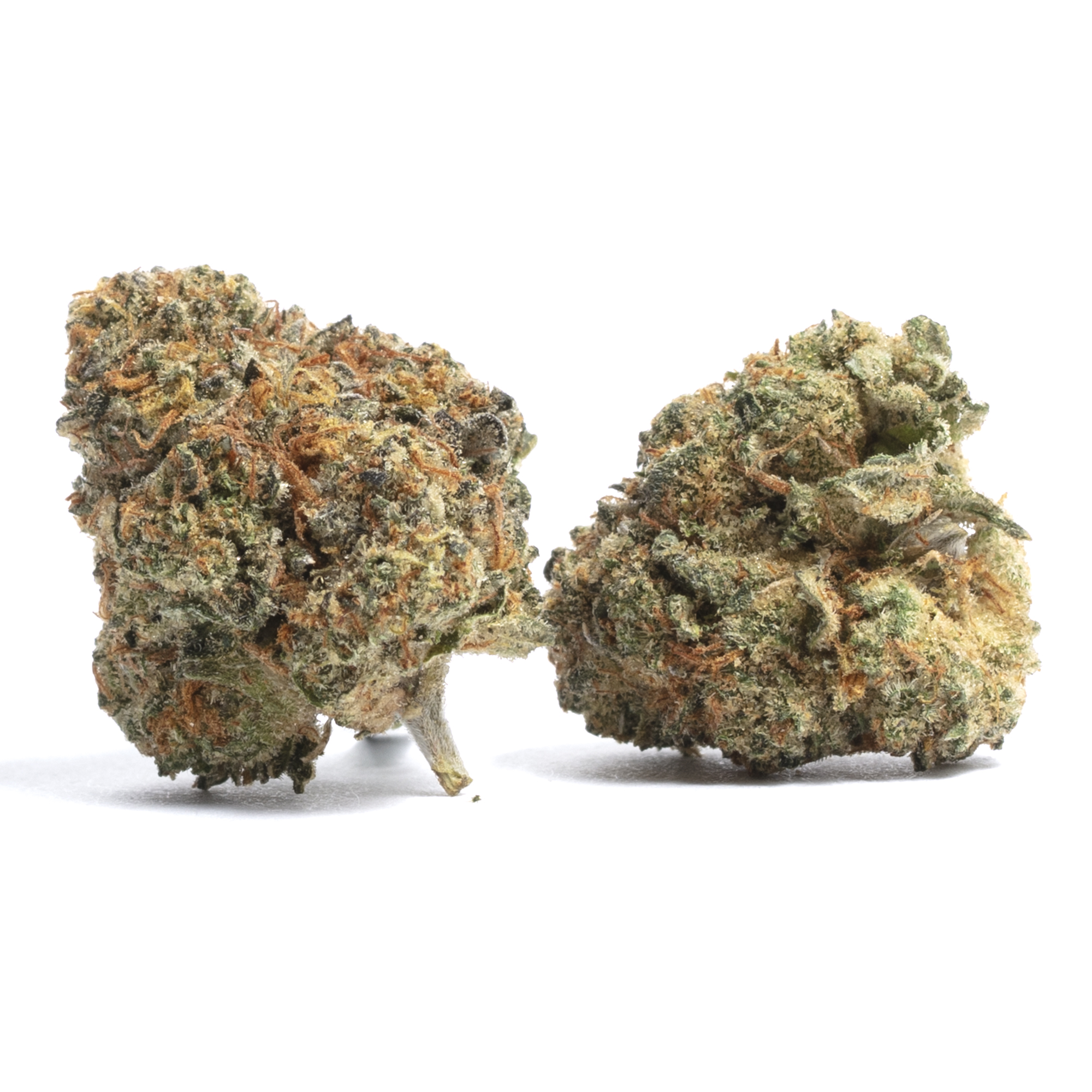 Kush Cookies