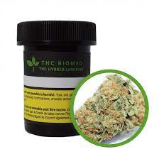 Thc Hybrid Landrace