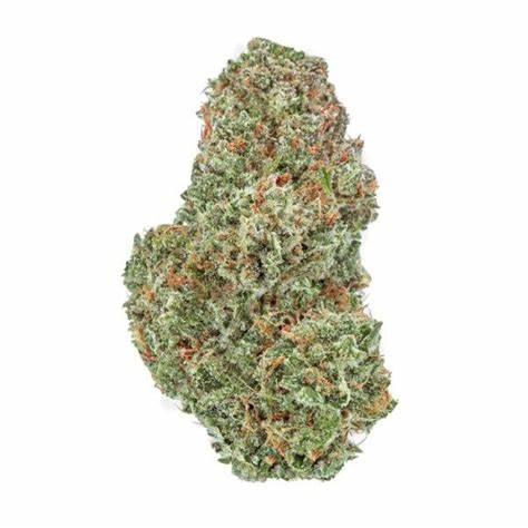 Organic Sugar Bush