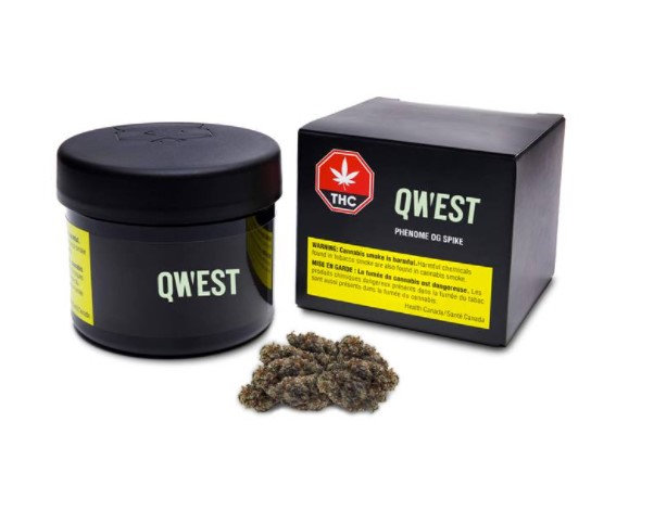 Phenome Og Spike
