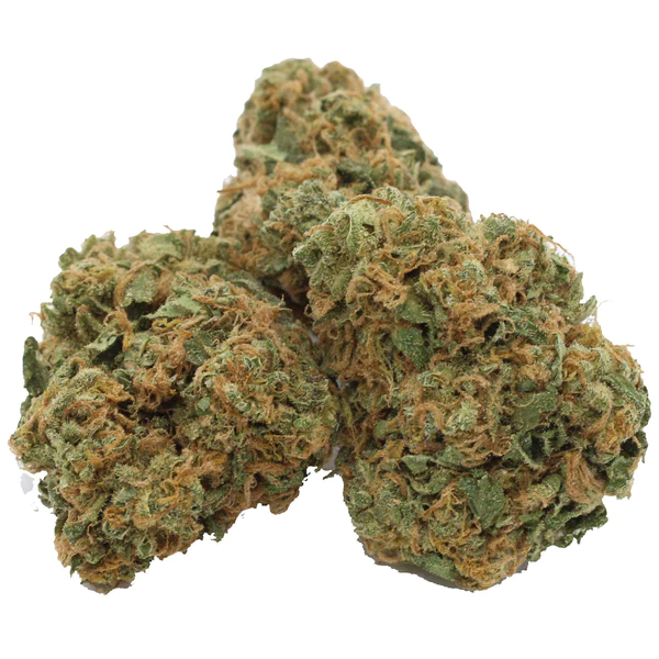 Critical Orange Punch