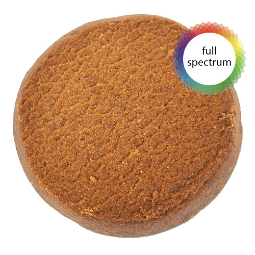 Cocoa Biscuit