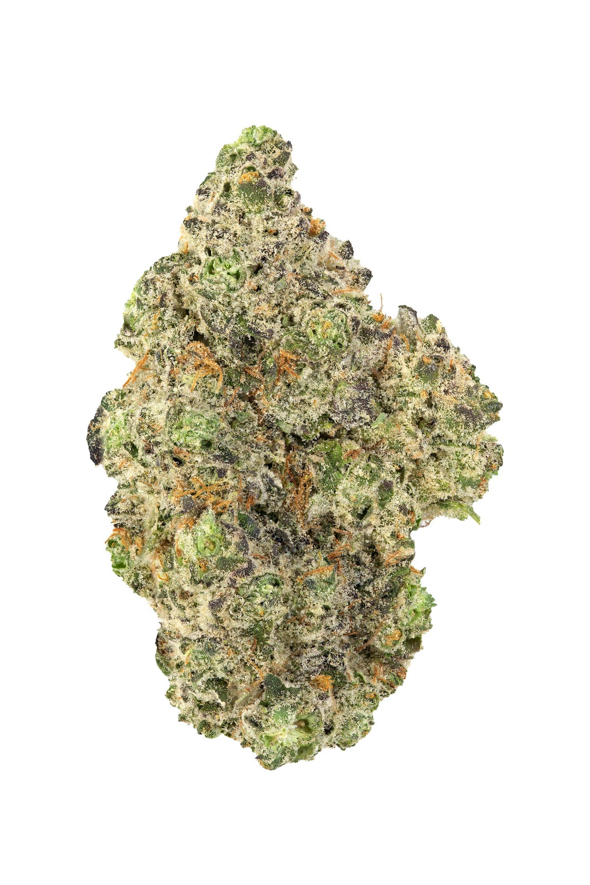Golden Ghost Og