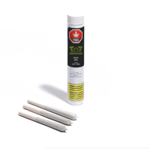 Mango Merengue Pre-Rolls