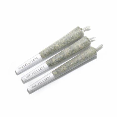 Sunset Sherbert Pre-Rolls