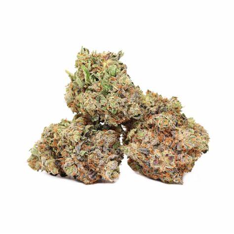 Parksville Pink Kush