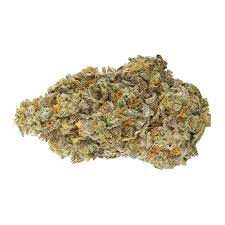 Ice Qwest
