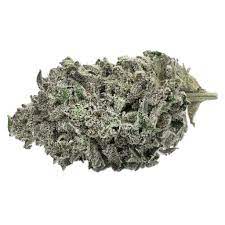 Sunset Sherbert