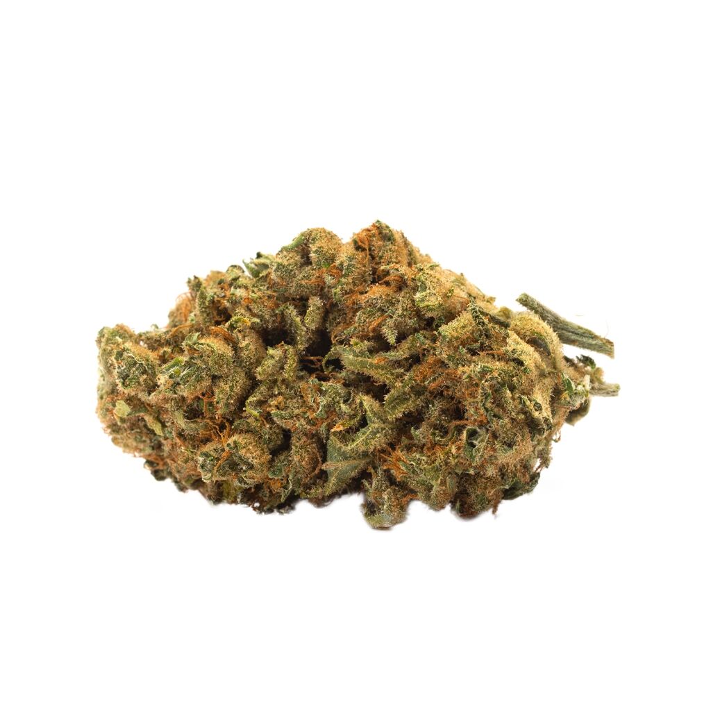 Twd Indica