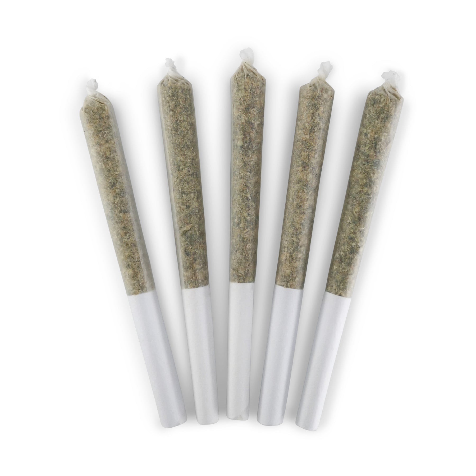 Miracle Valley Landslide Pre-Rolls