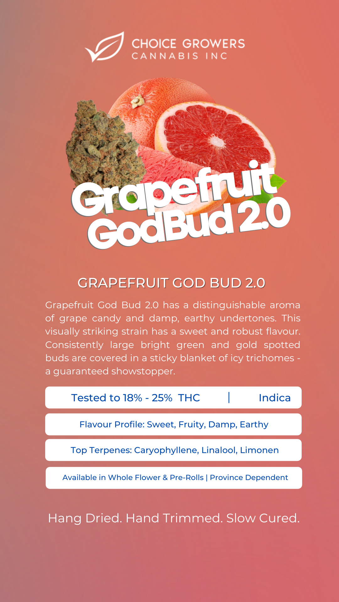 Grapefruit God Bud 2.0 Pre-Rolls
