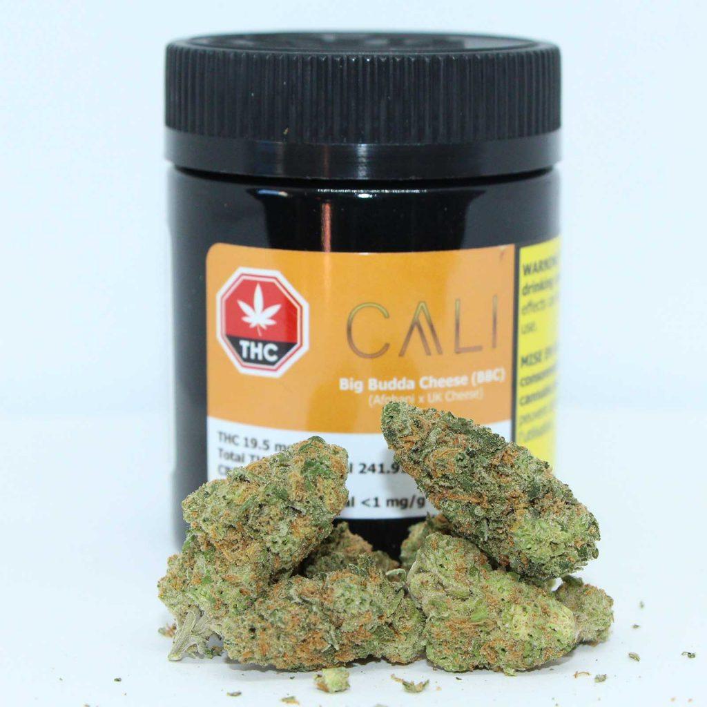 Big Budda Cheese (Bbc)
