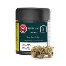 Verte West Motor Breath
