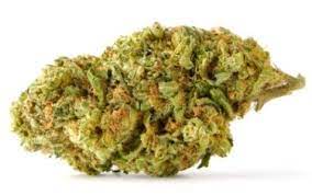 No. 403 Mango Kush