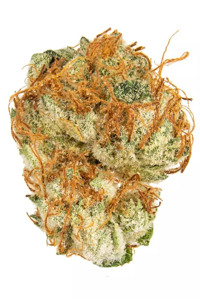Sour Strawberry Kush