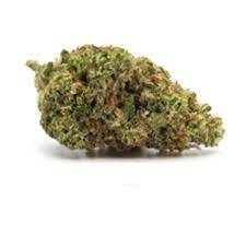 Indica