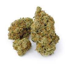 White Widow