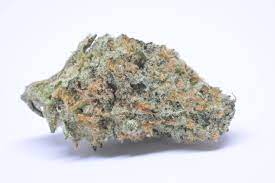 Kent County Kush