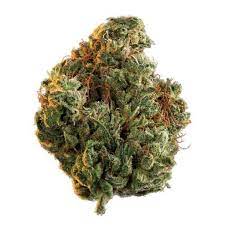 Figr No. 8 Green Cush