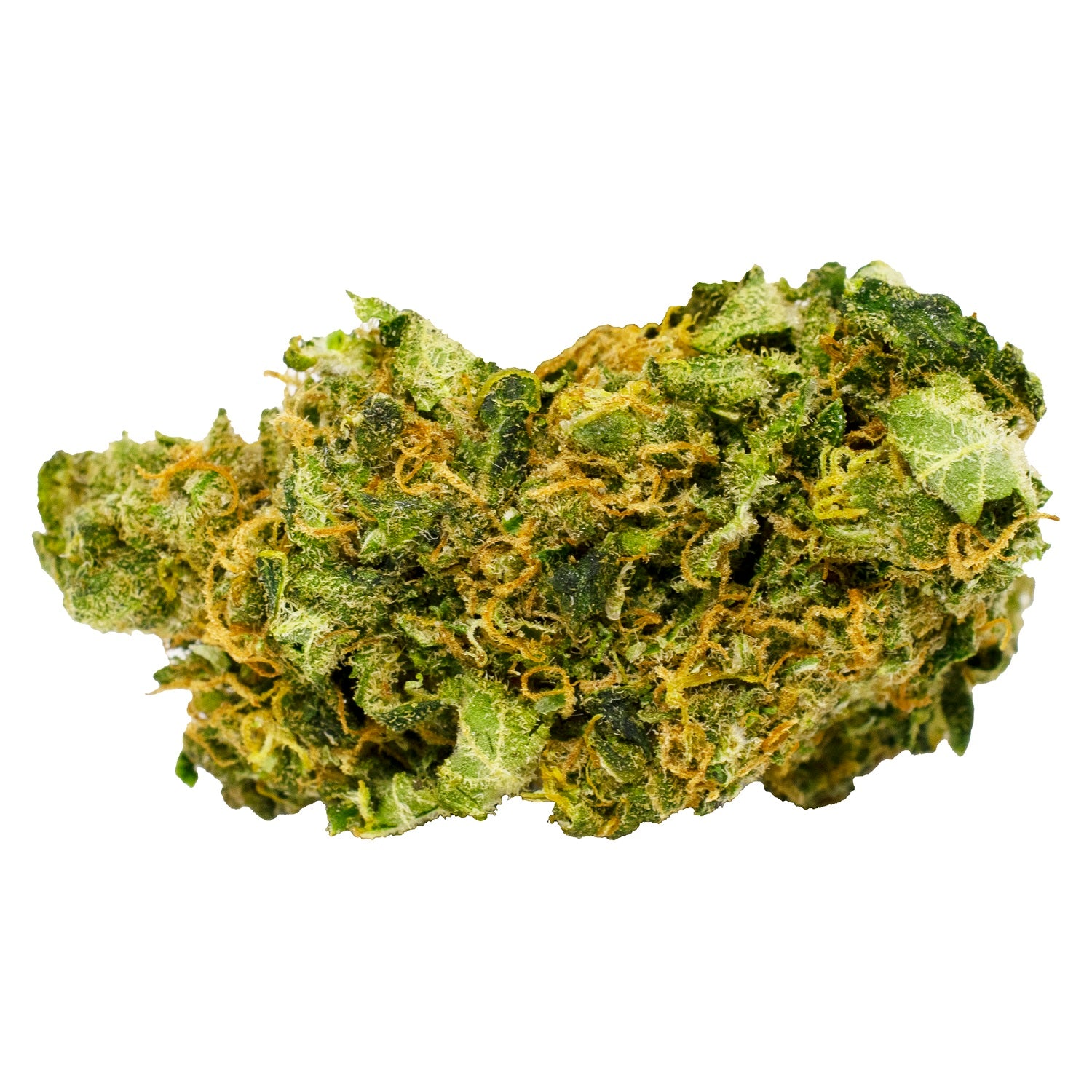 Dragon'S Lettuce Premium Sativa