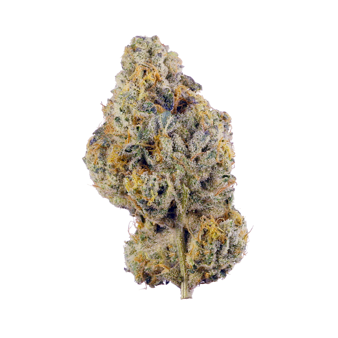 Golden Lemon 2.0 Seeds