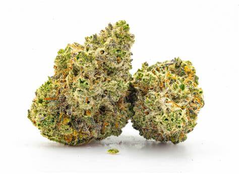 Lilac Diesel