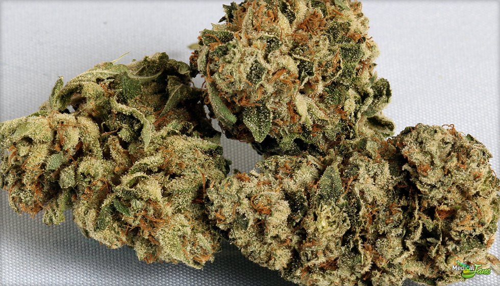 Kush