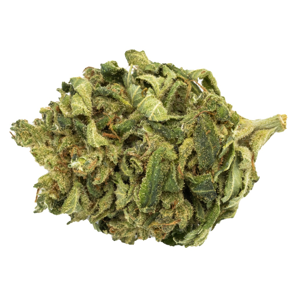 Gold Island Sweet Skunk
