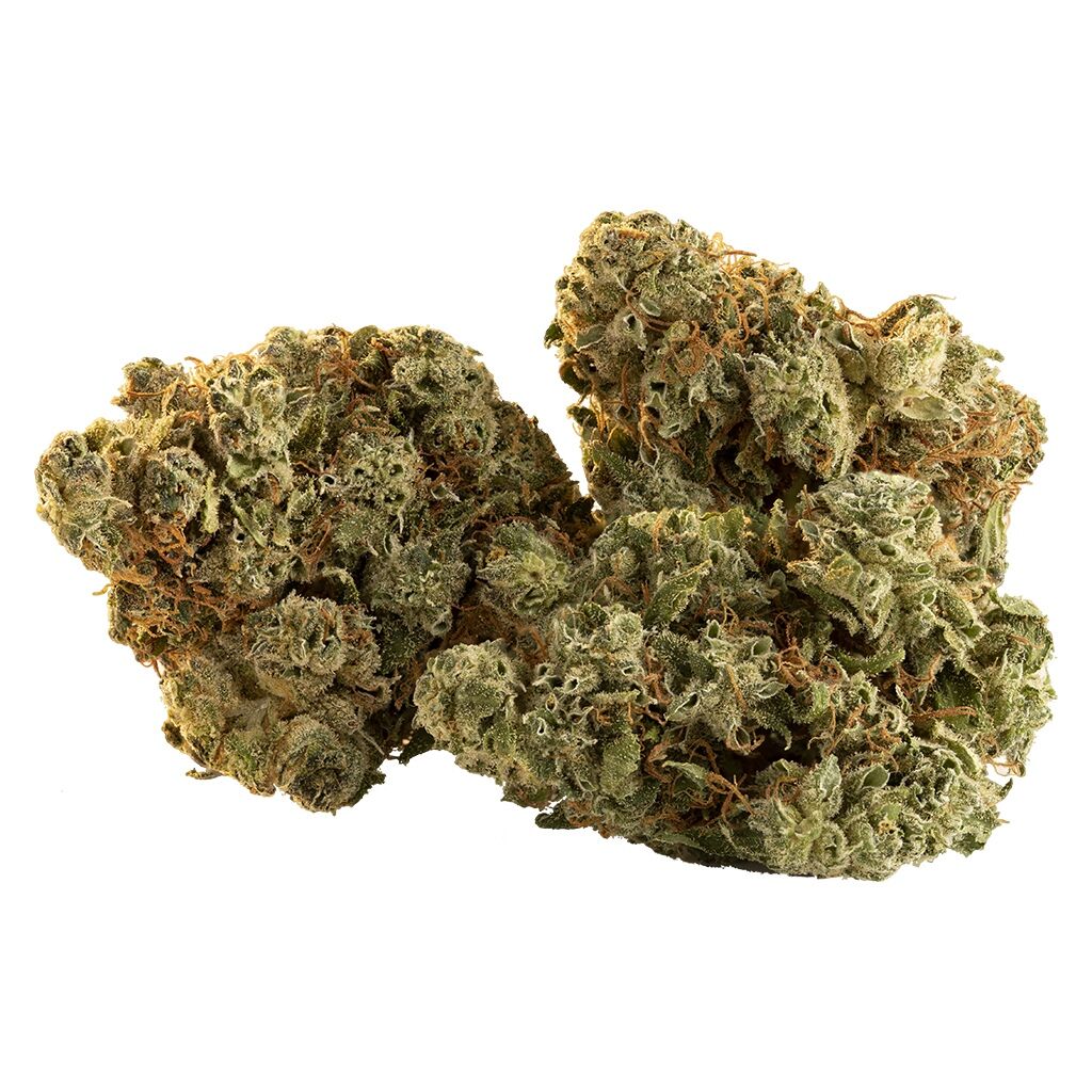 Spark Buds