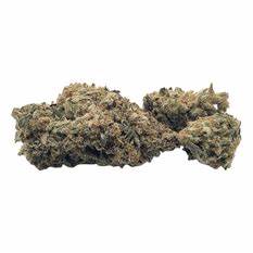 Mendoz Stomper