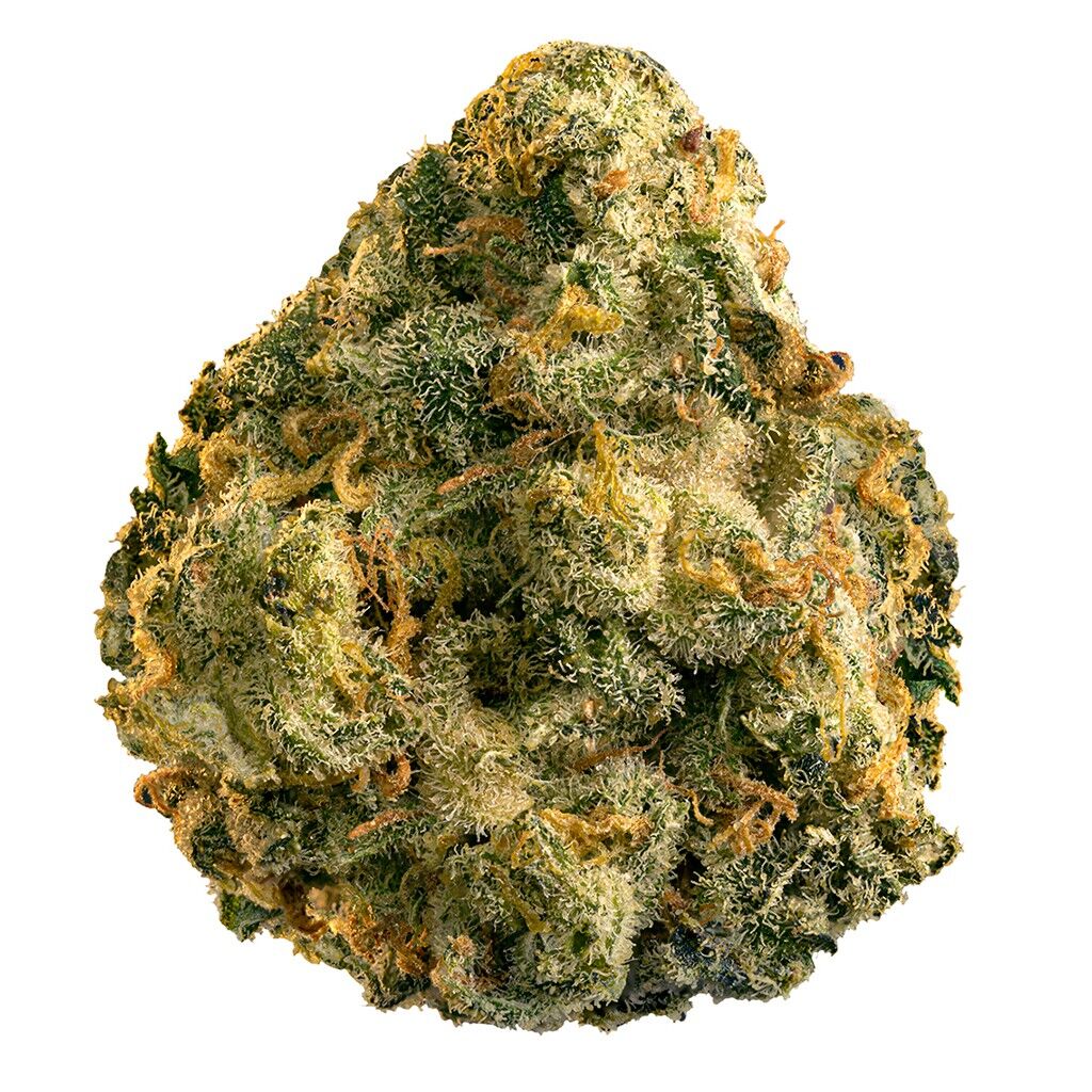 Grapefruit Gg4