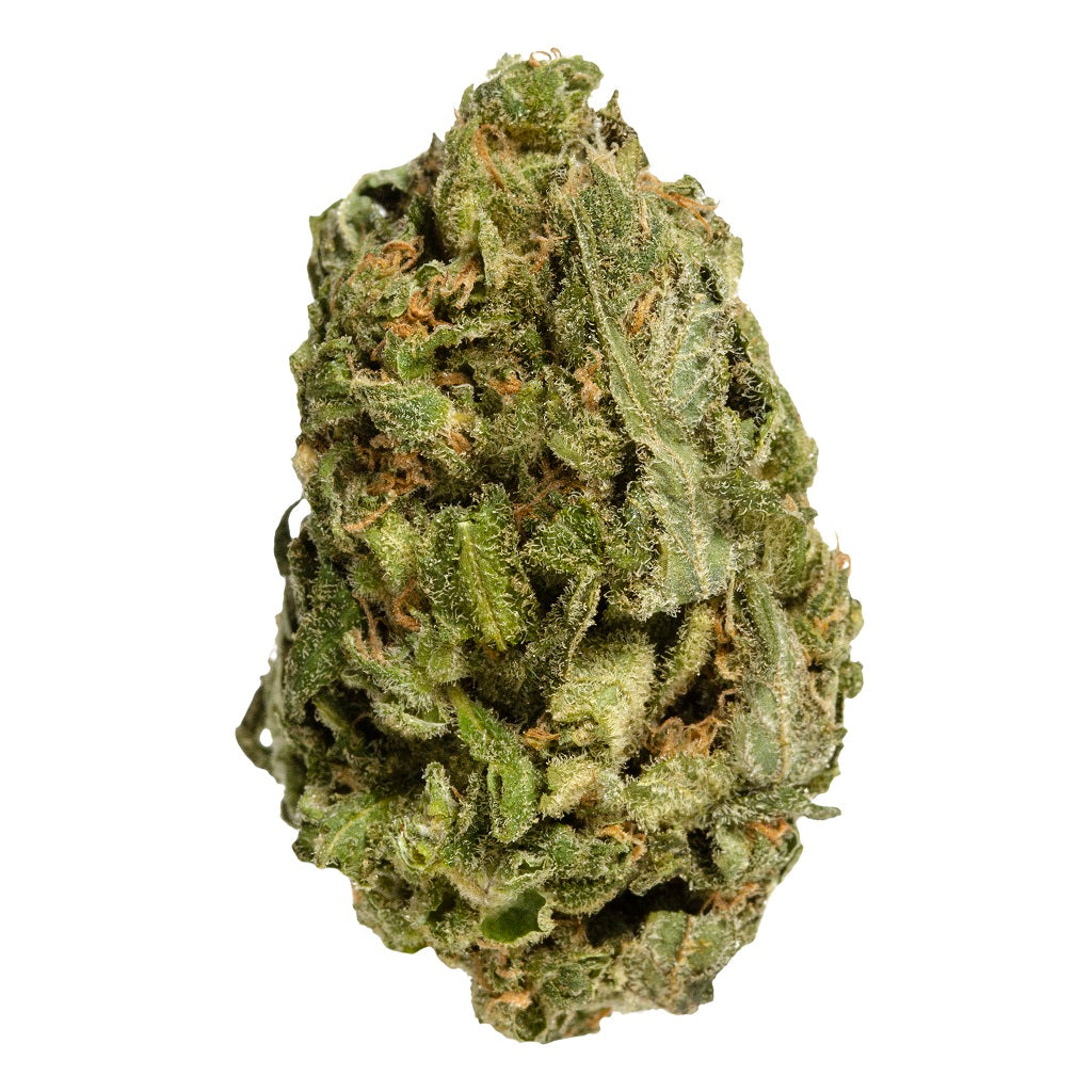 All Purpose Flower Sativa