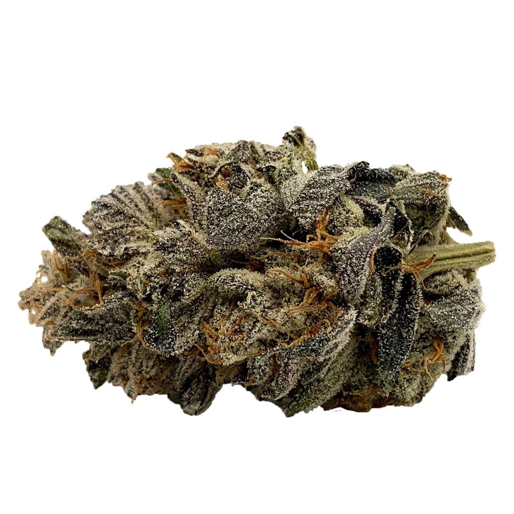 Gelato