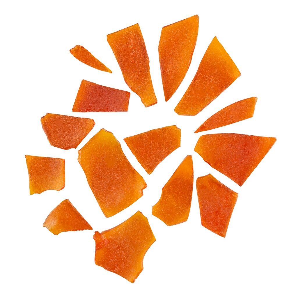 Fireside X Shatter - Wappa