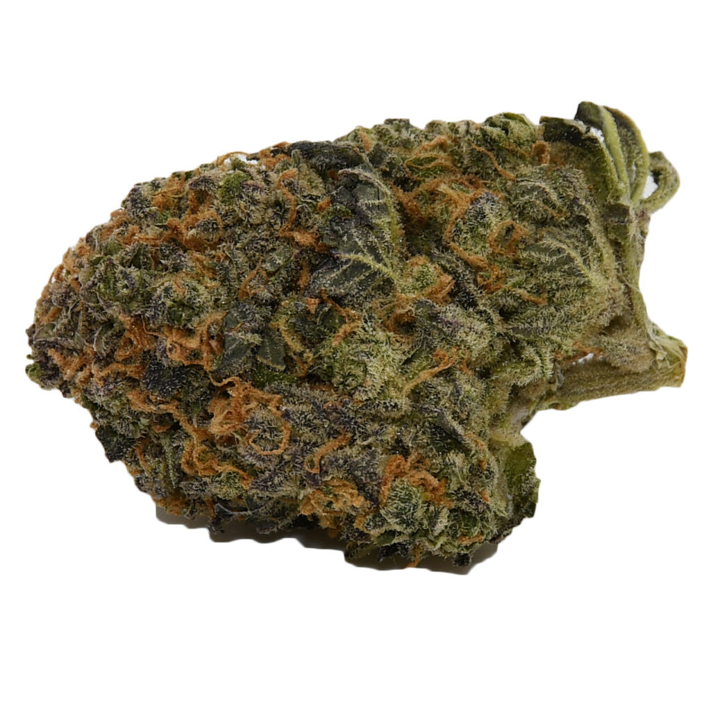 Critical Super Silver Haze