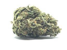 Blueberry