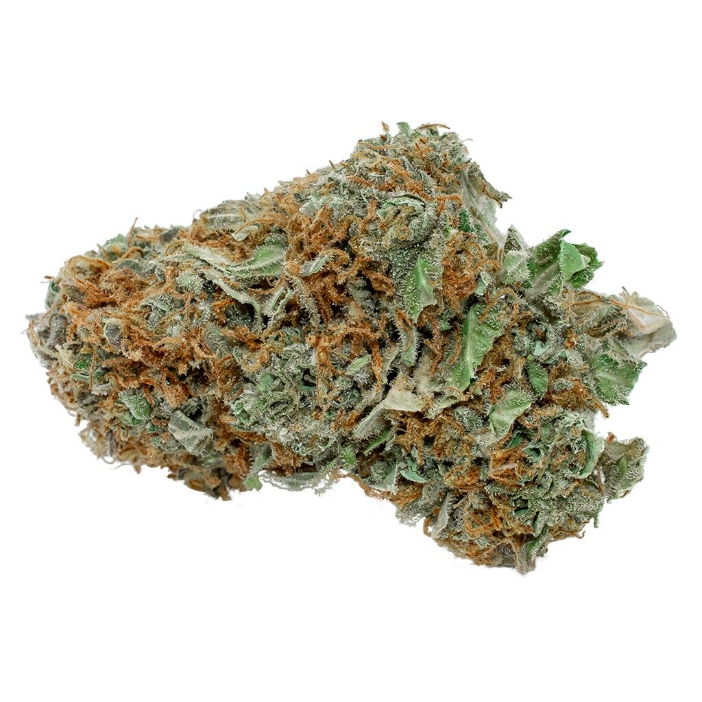 Bc Sensi Star