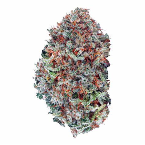 Organic Cherry Mints
