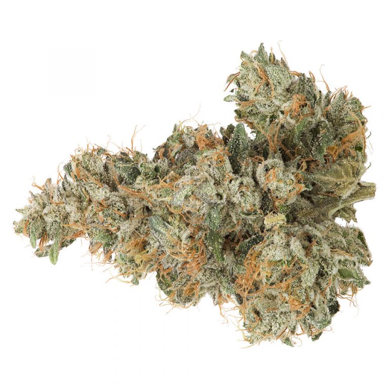 Animal Cookies