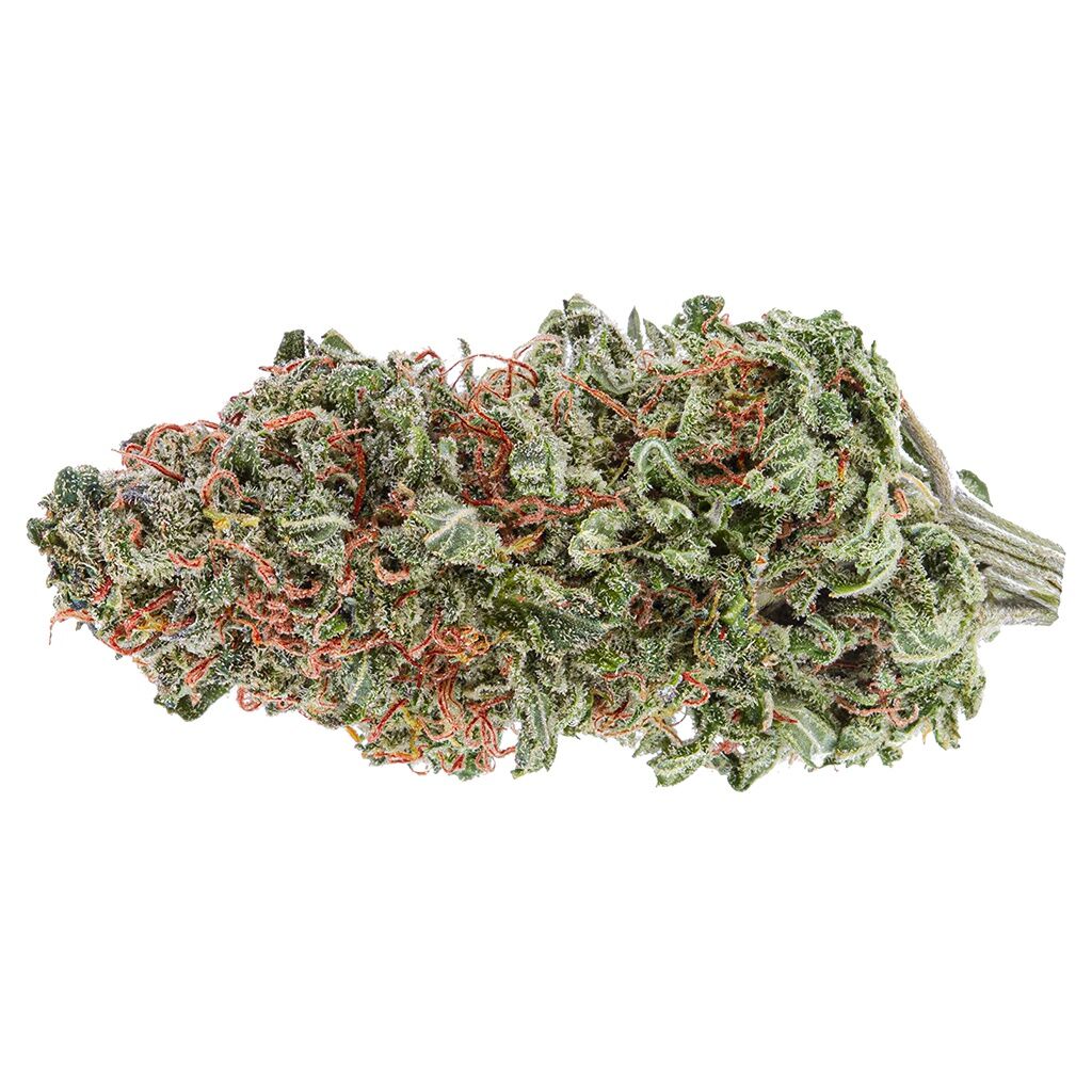 Gg #4