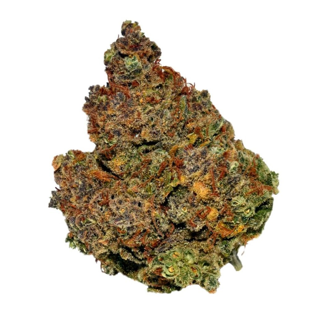 Northern Lights