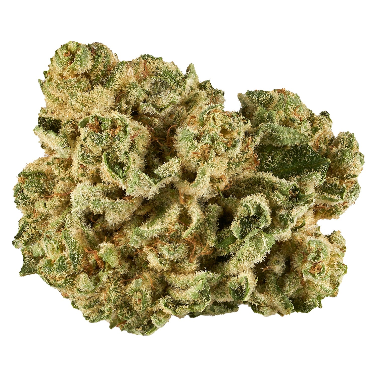 Sweet Berry Kush