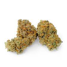 Cbd Shark Shock