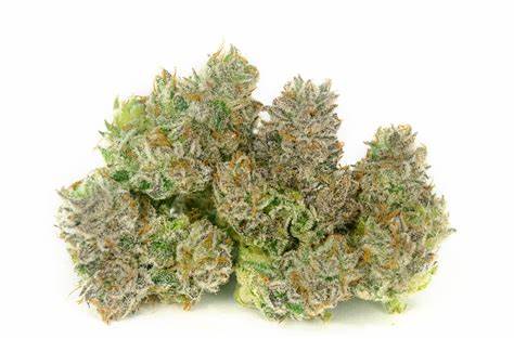 Purple Clementine