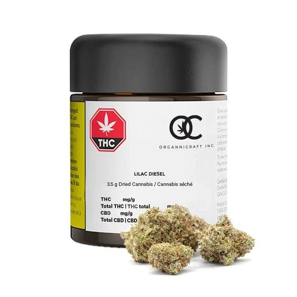 Lilac Diesel