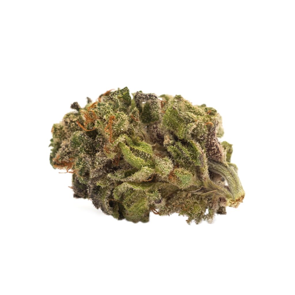 Twd Sativa