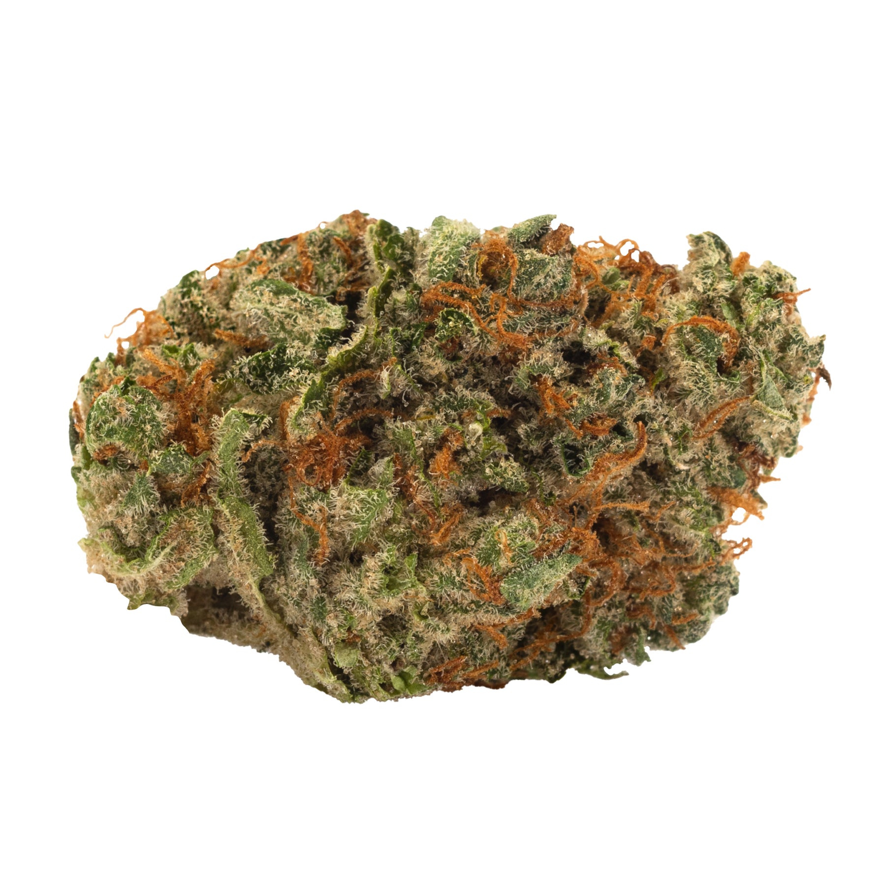 Slow Lane Indica
