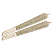 Cheese Quake Pre-Roll