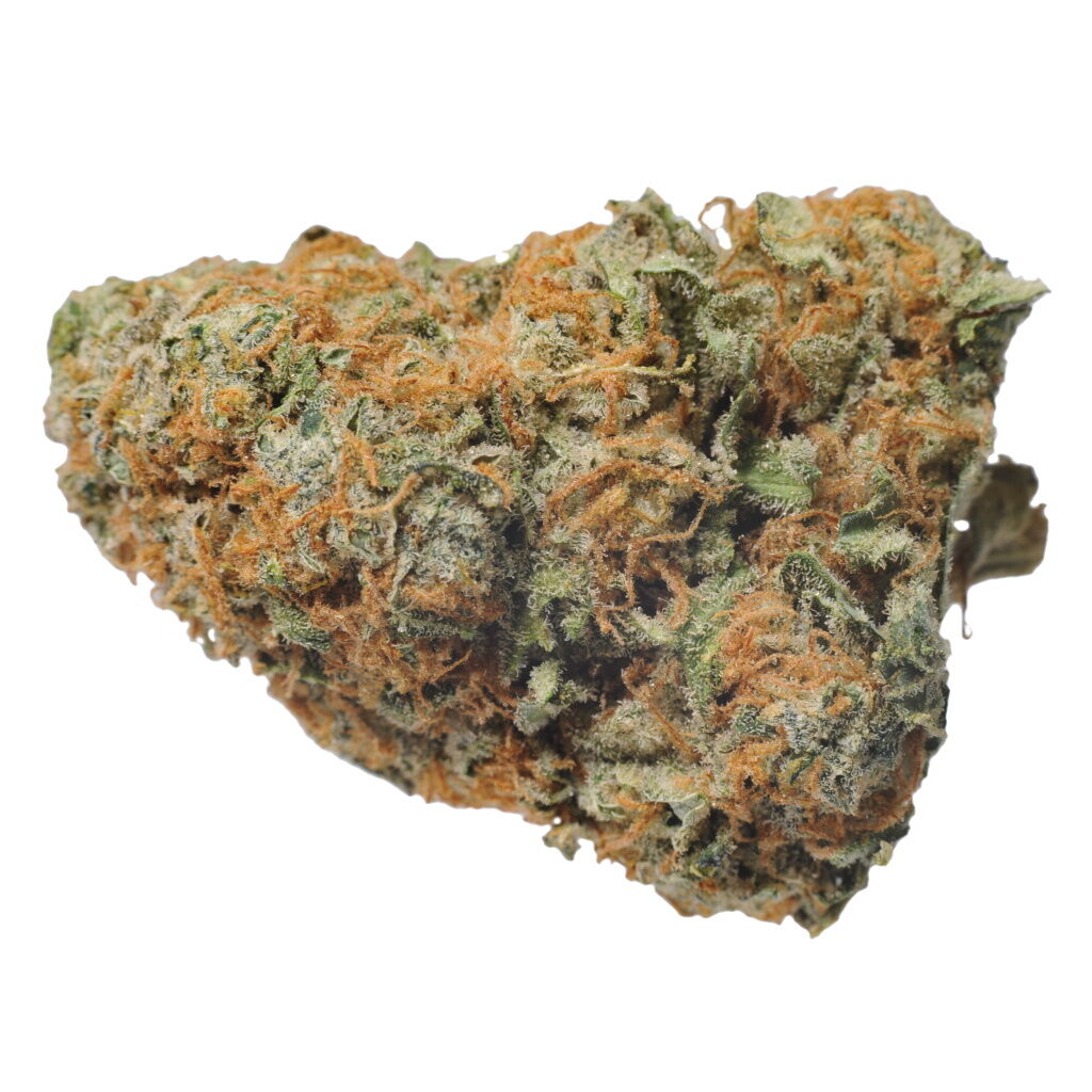 Sensi Star
